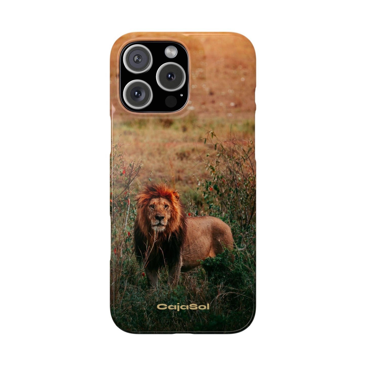 Majestic Lion Cajasol - Nature Inspired