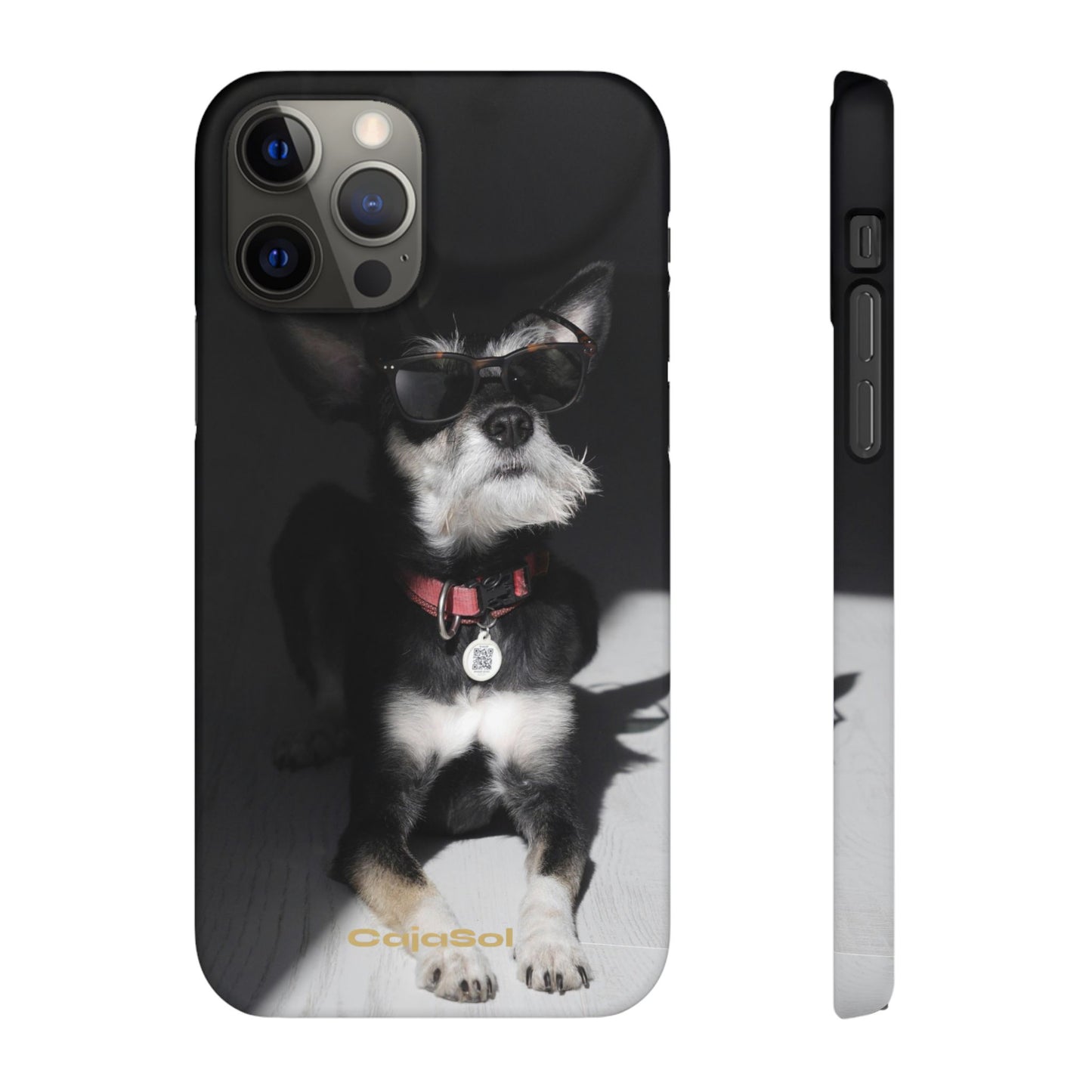 Cool Dog Cajasol - Stylish Pet