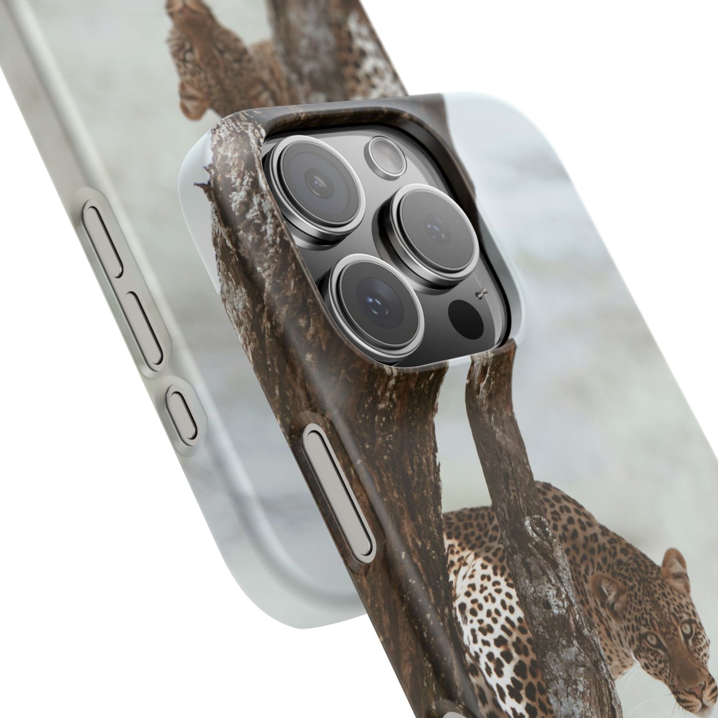 Leopard Cajasol - Wildlife Vibes
