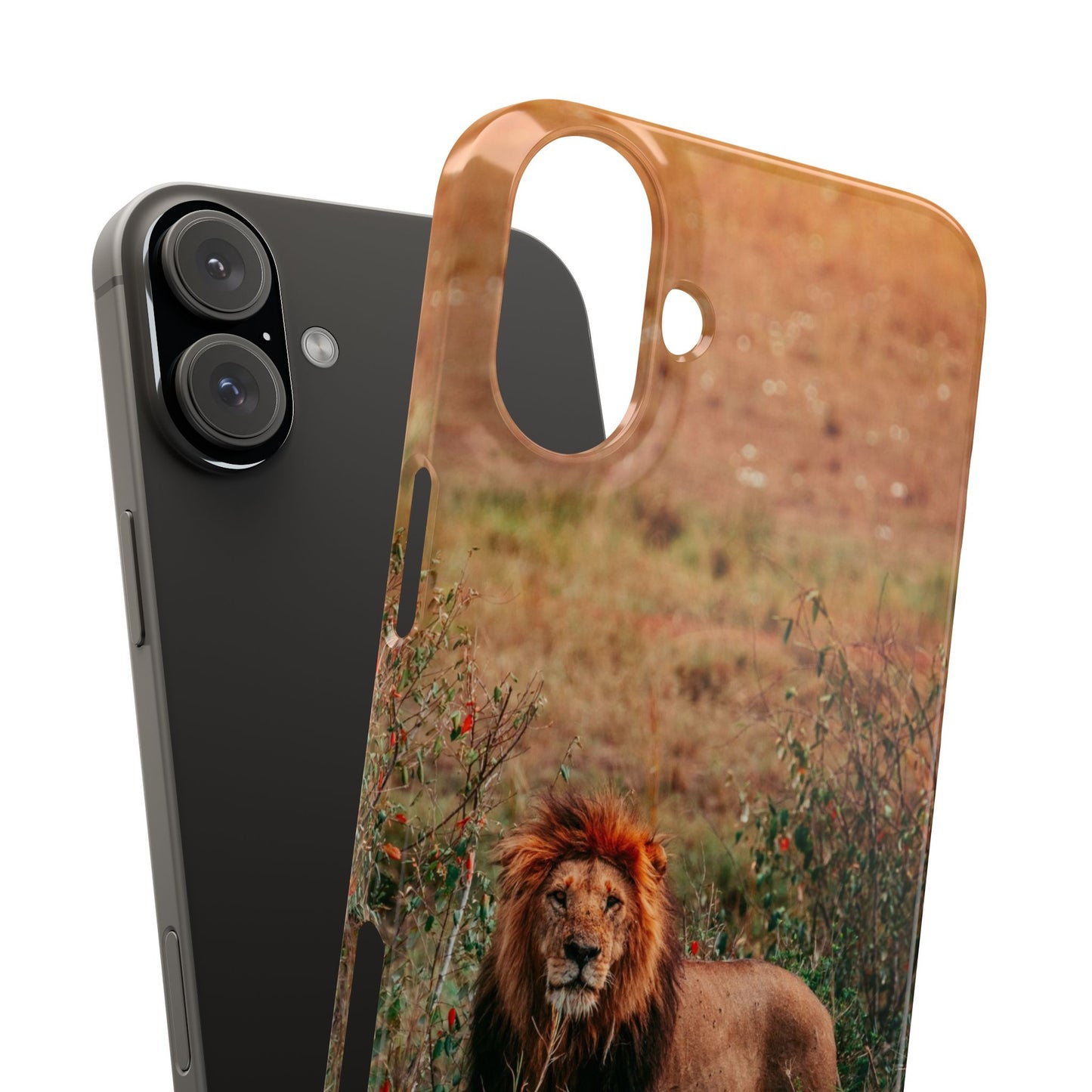 Majestic Lion Cajasol - Nature Inspired