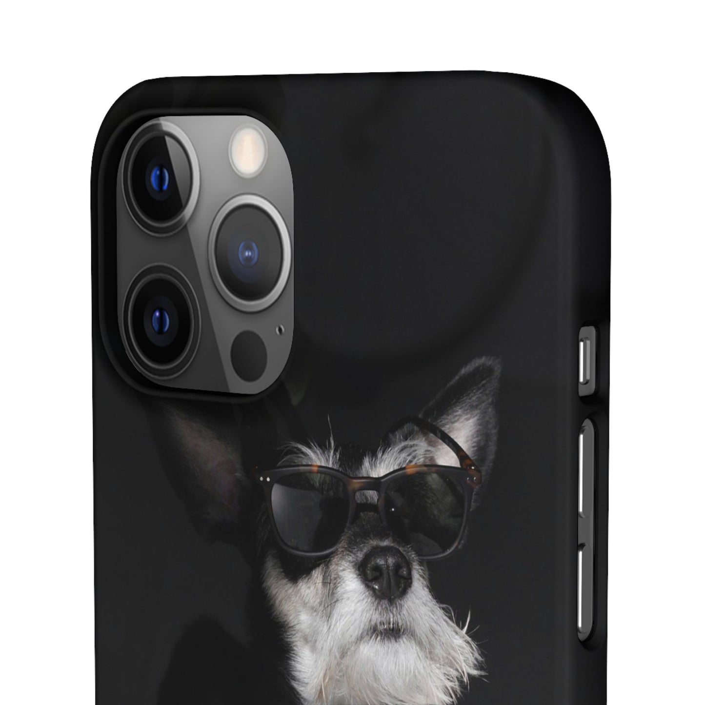 Cool Dog Cajasol - Stylish Pet