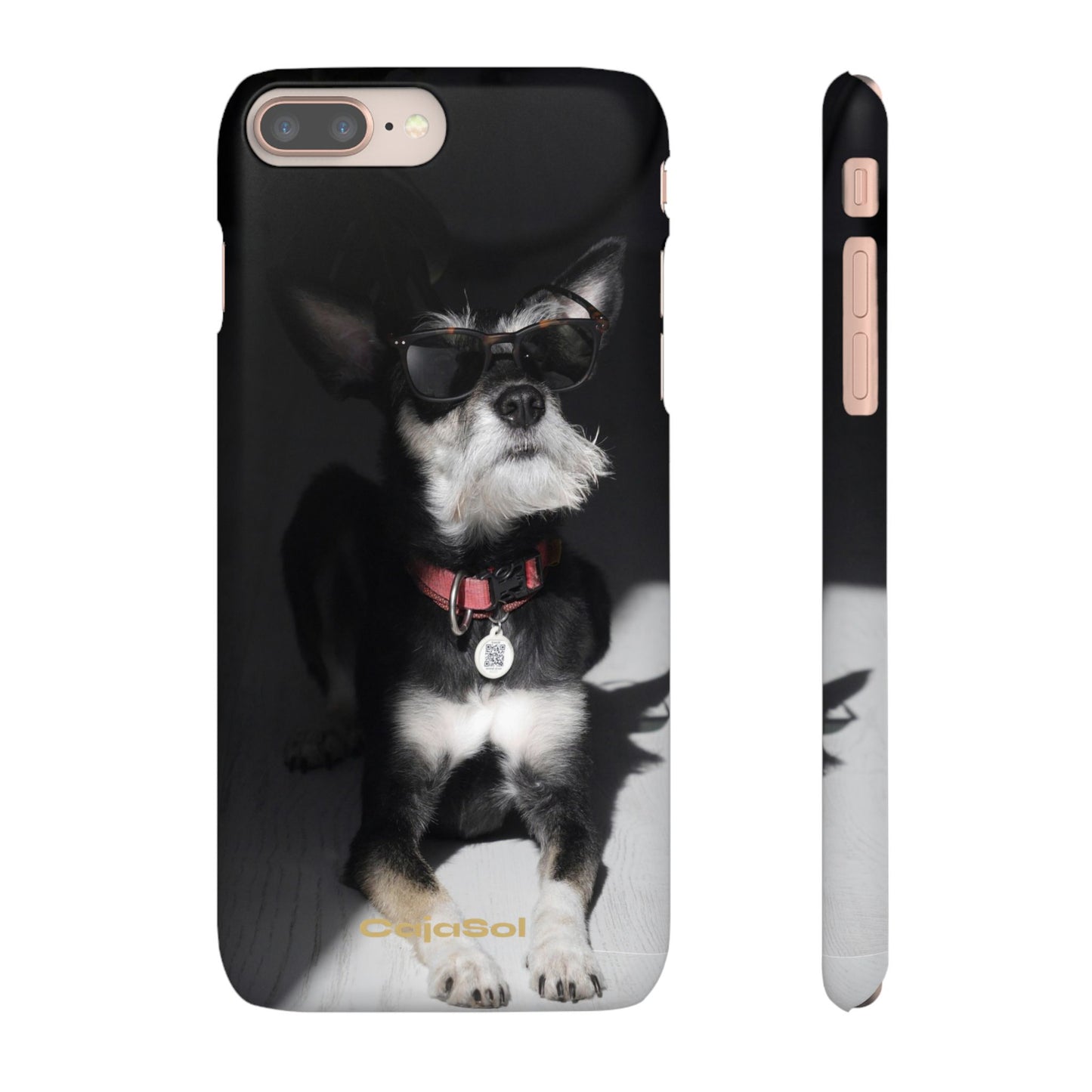 Cool Dog Cajasol - Stylish Pet