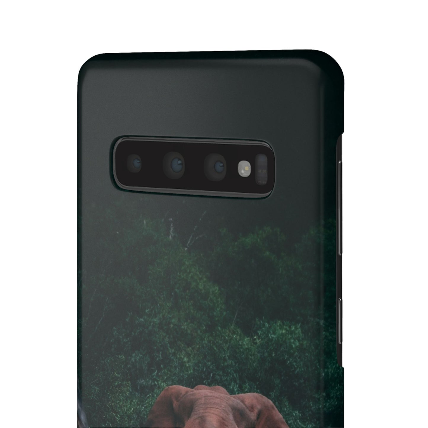 Wildlife Lover's Cajasol - Majestic Elephant
