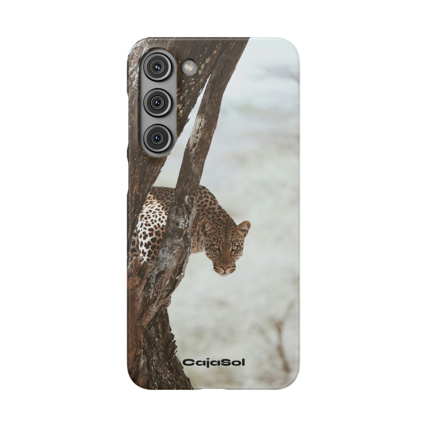 Leopard Cajasol - Wildlife Vibes