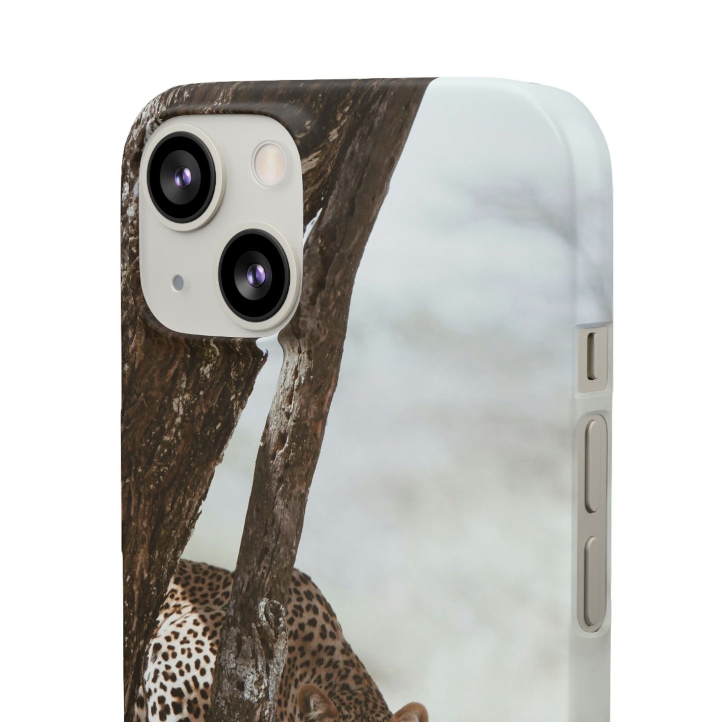 Leopard Cajasol - Wildlife Vibes