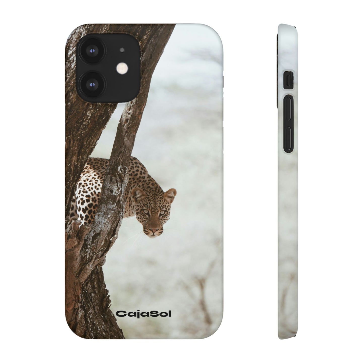 Leopard Cajasol - Wildlife Vibes
