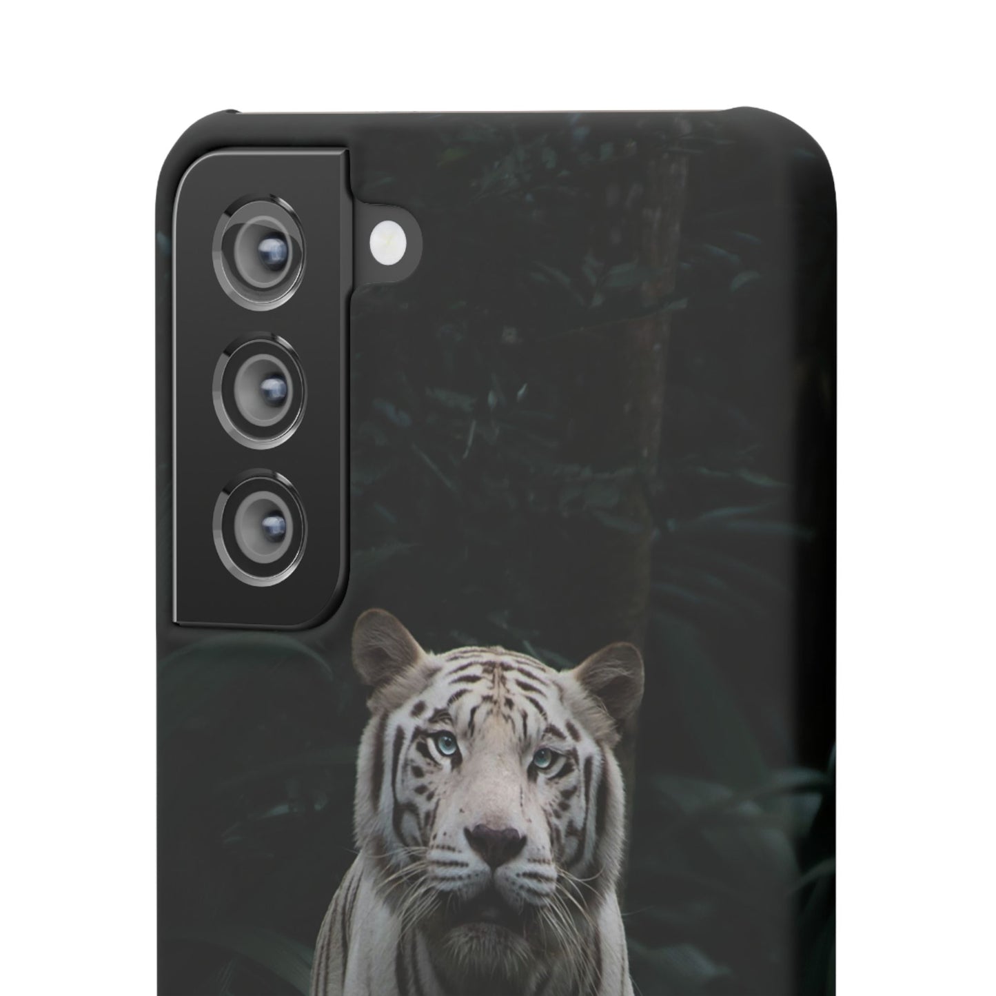 Majestic White Tiger Cajasol - Elegant & Protective for Wildlife Lovers