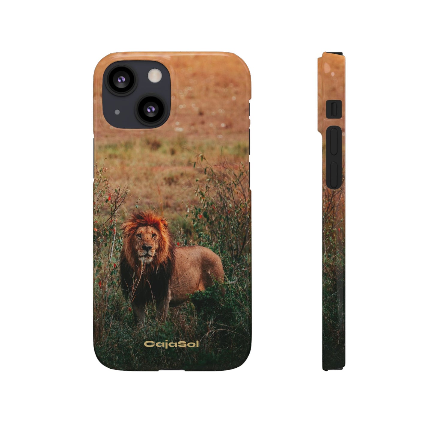 Majestic Lion Cajasol - Nature Inspired