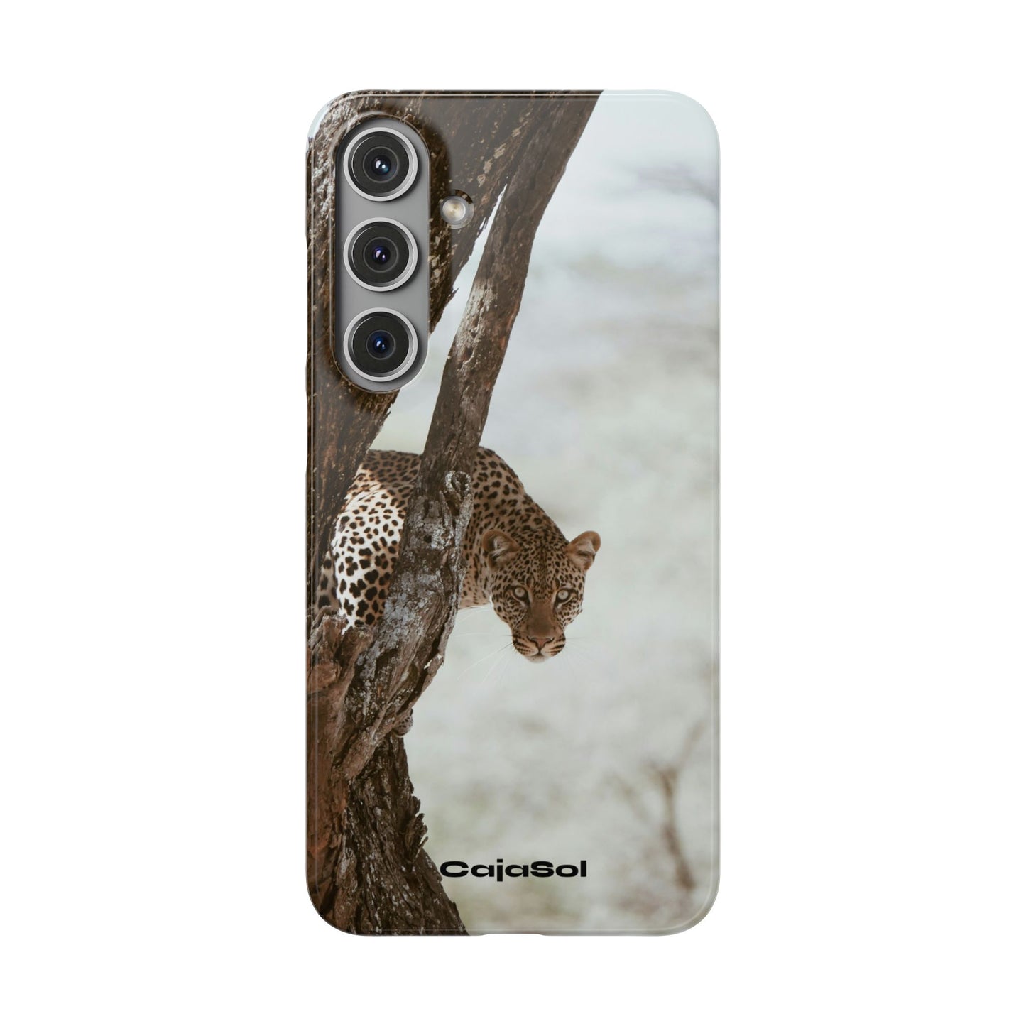 Leopard Cajasol - Wildlife Vibes