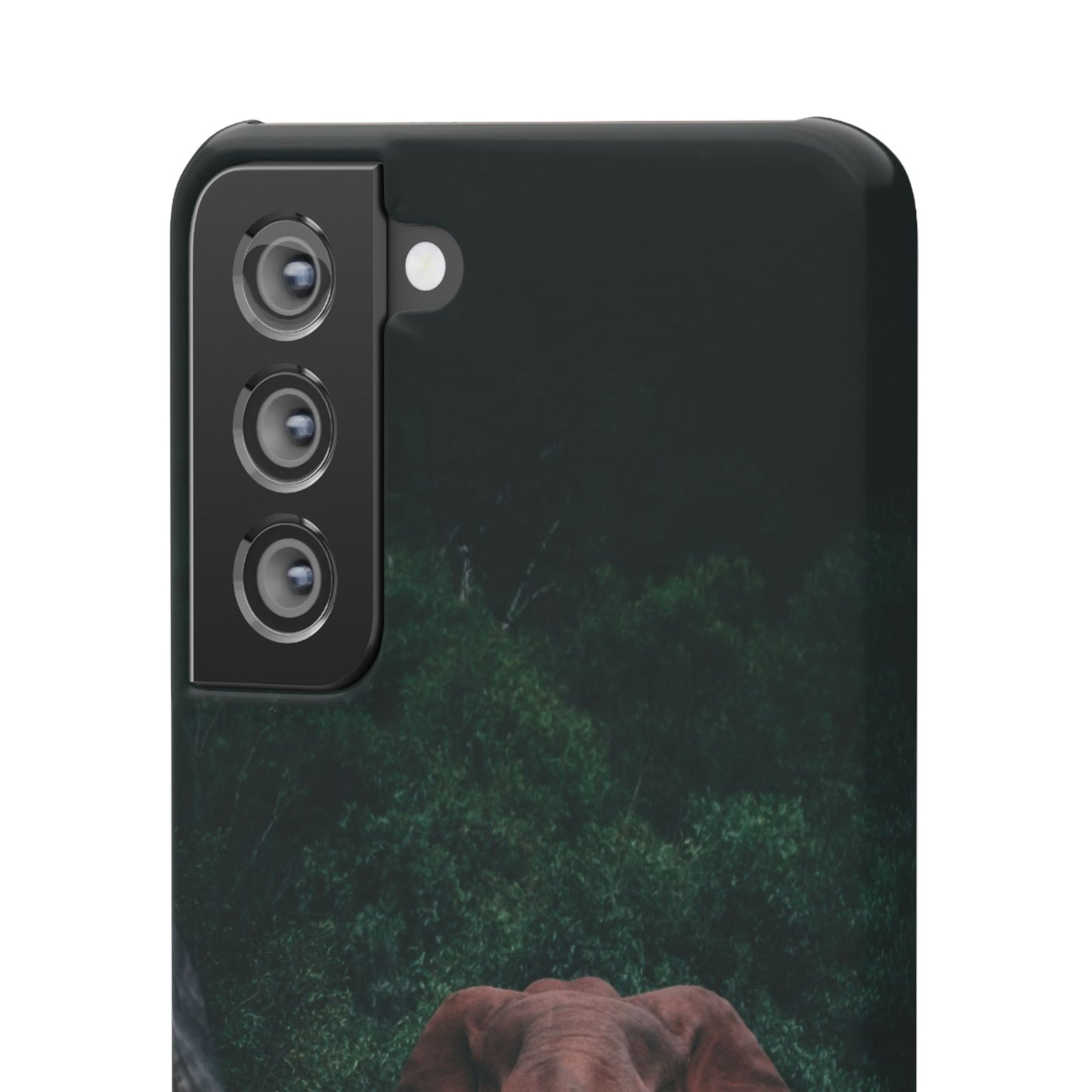 Wildlife Lover's Cajasol - Majestic Elephant
