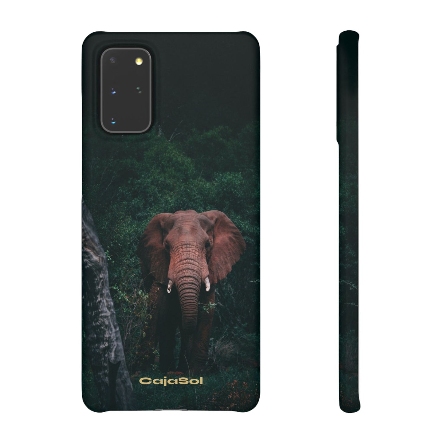 Wildlife Lover's Cajasol - Majestic Elephant