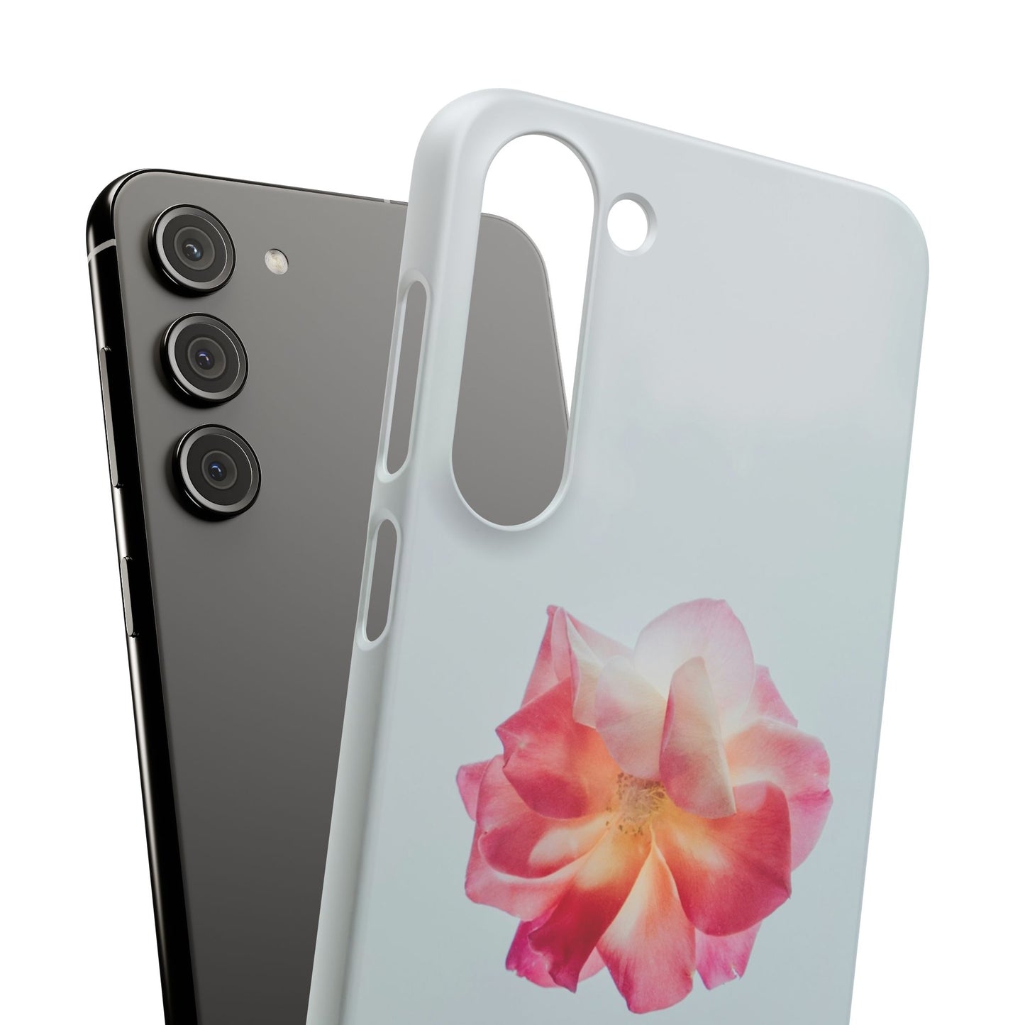 Floral Cajasol - Elegant Pink Flower