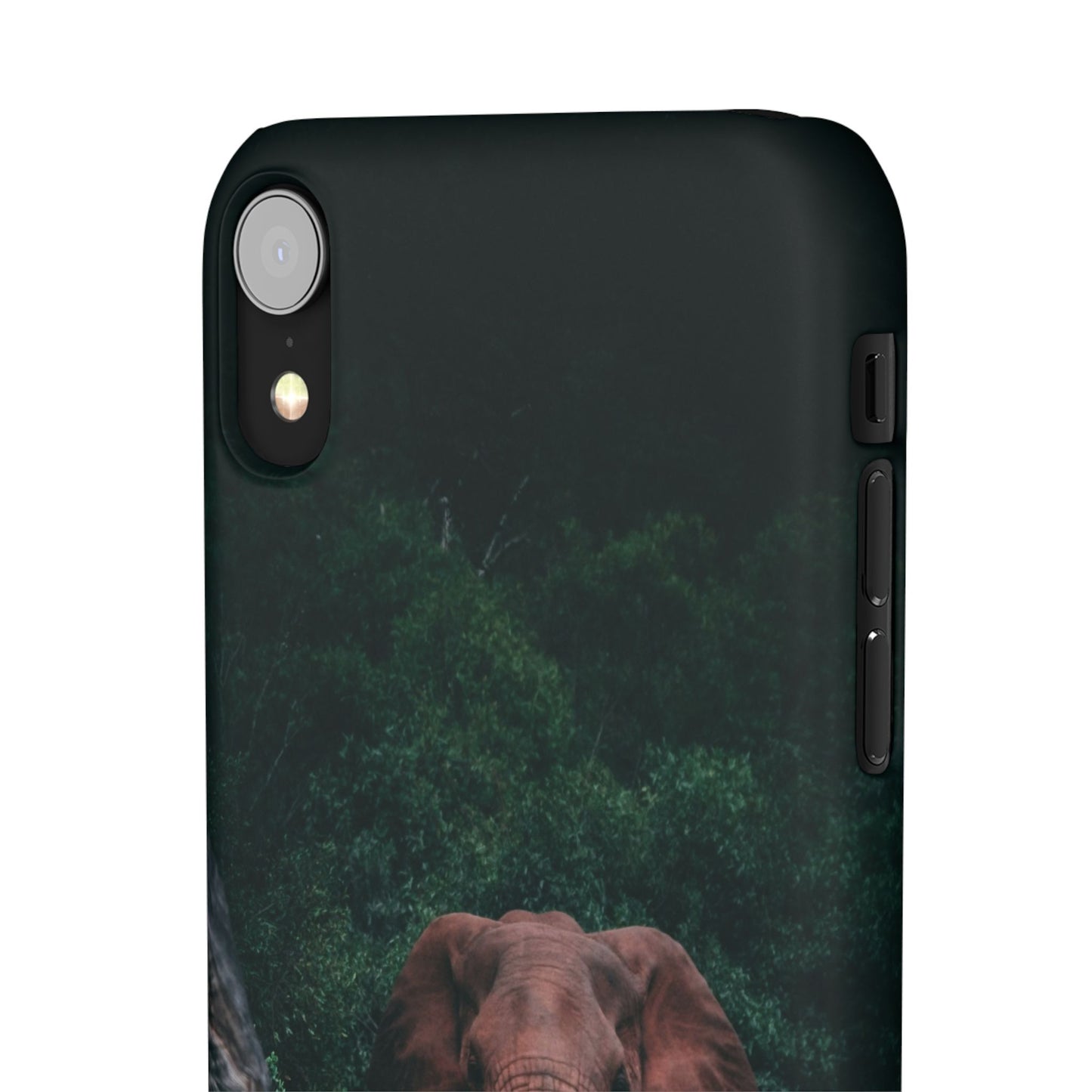 Wildlife Lover's Cajasol - Majestic Elephant