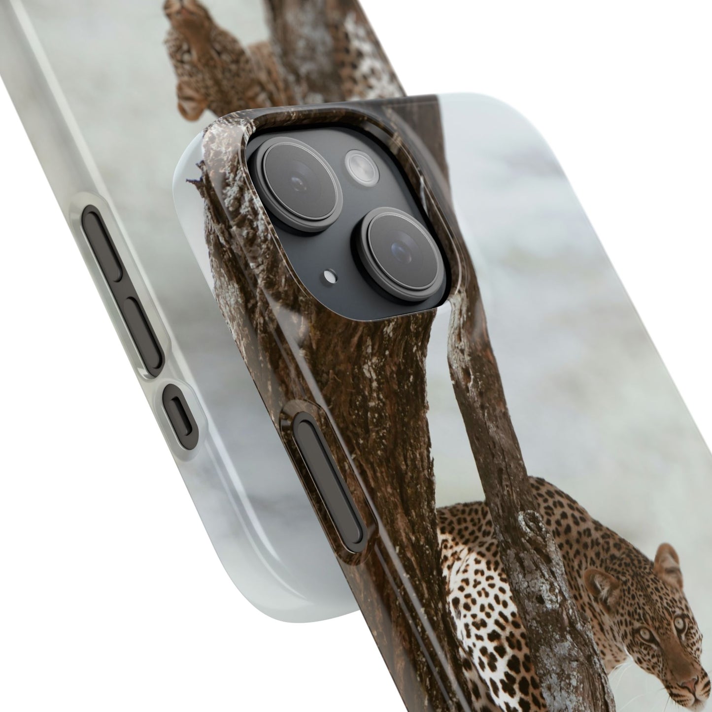 Leopard Cajasol - Wildlife Vibes
