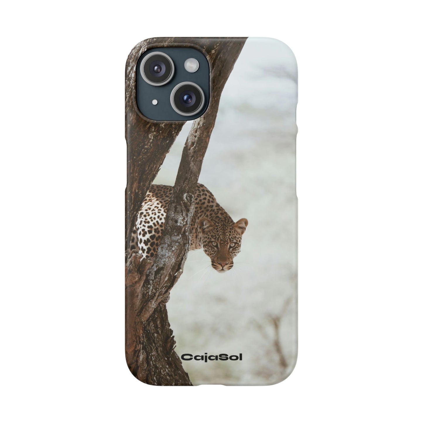 Leopard Cajasol - Wildlife Vibes