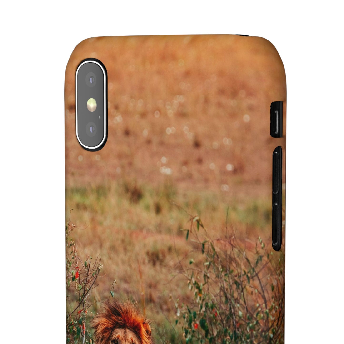 Majestic Lion Cajasol - Nature Inspired