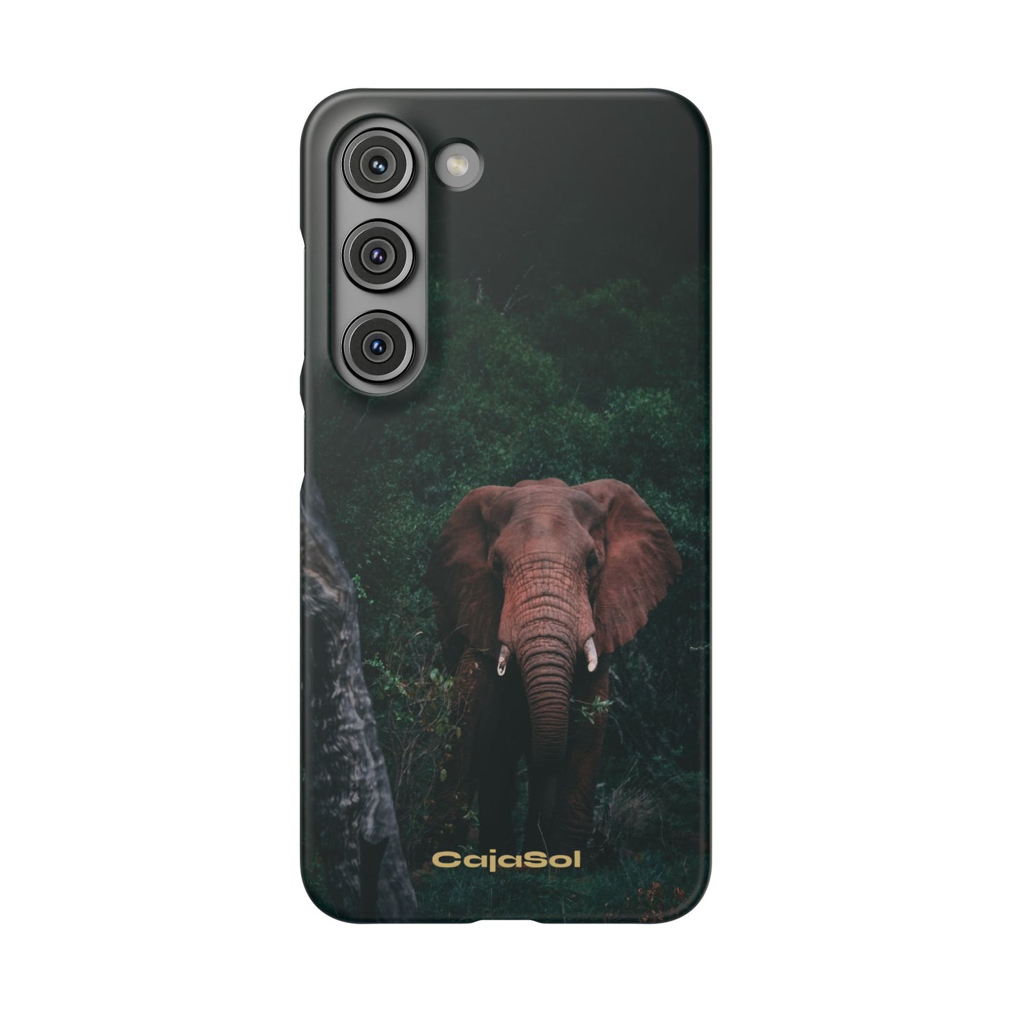 Wildlife Lover's Cajasol - Majestic Elephant