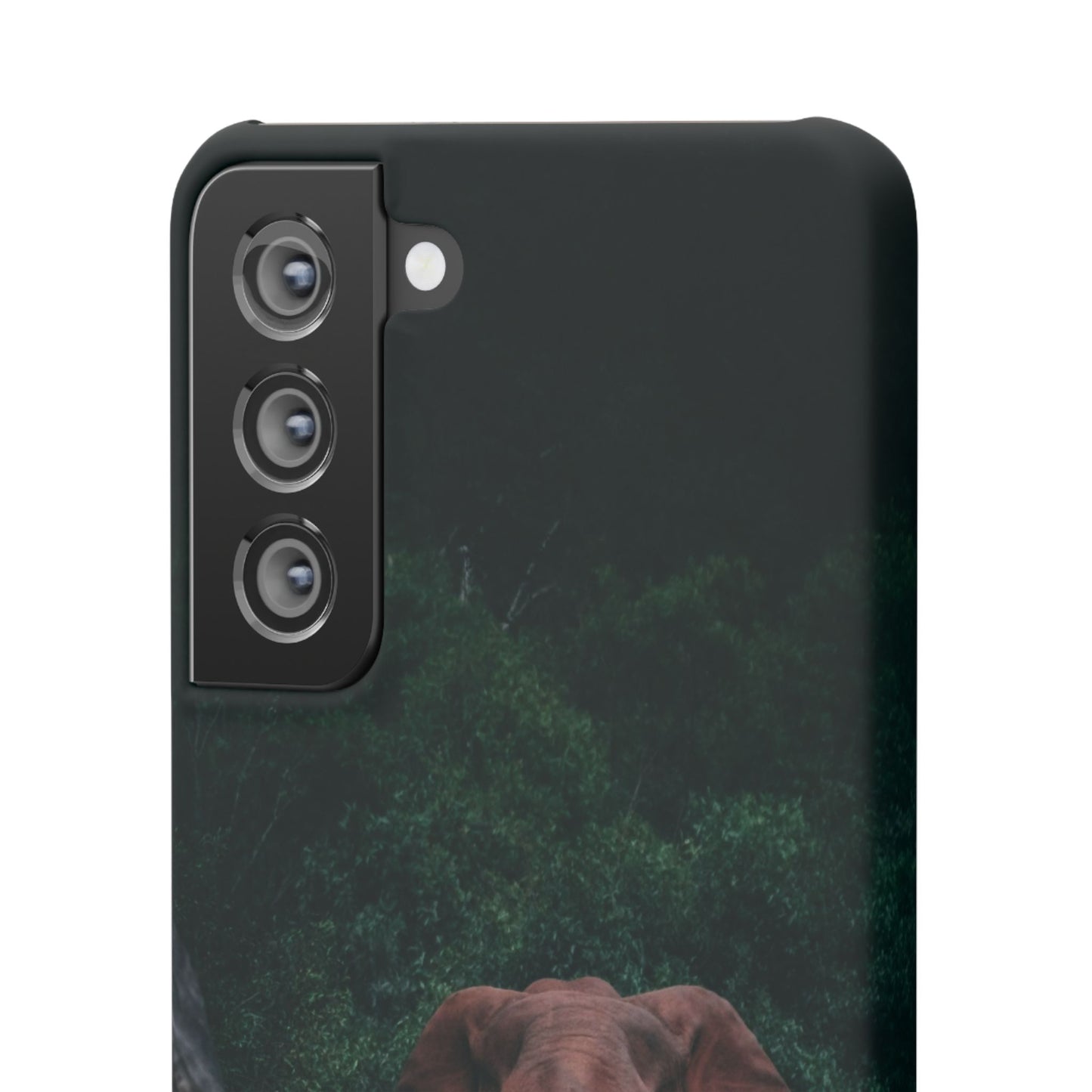 Wildlife Lover's Cajasol - Majestic Elephant