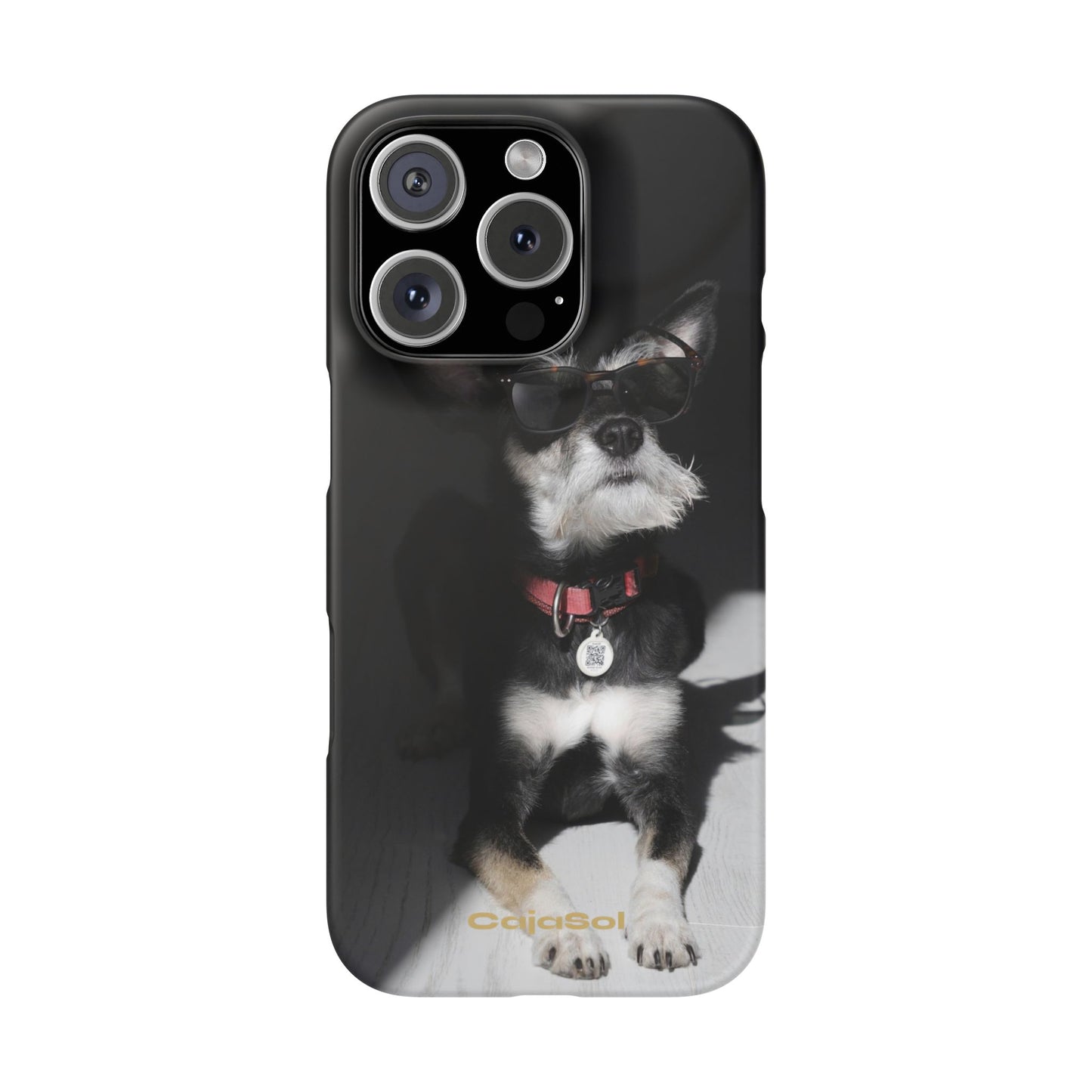 Cool Dog Cajasol - Stylish Pet