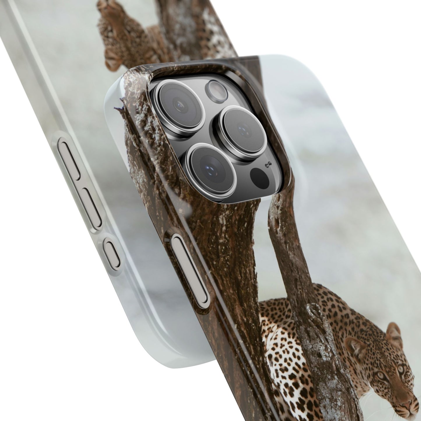 Leopard Cajasol - Wildlife Vibes