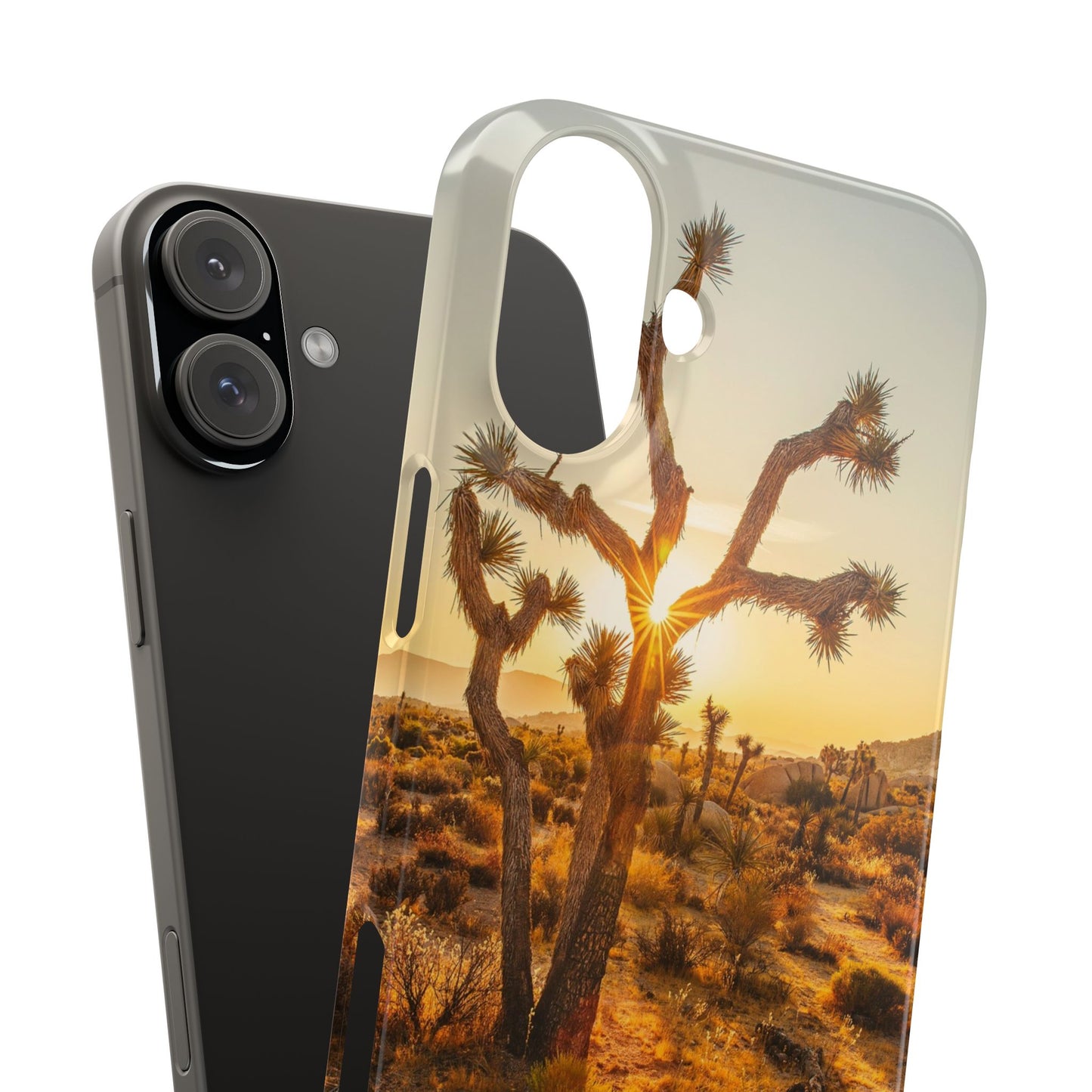 Desert Sunset Cajasol - Stylish Protection for Nature Lovers