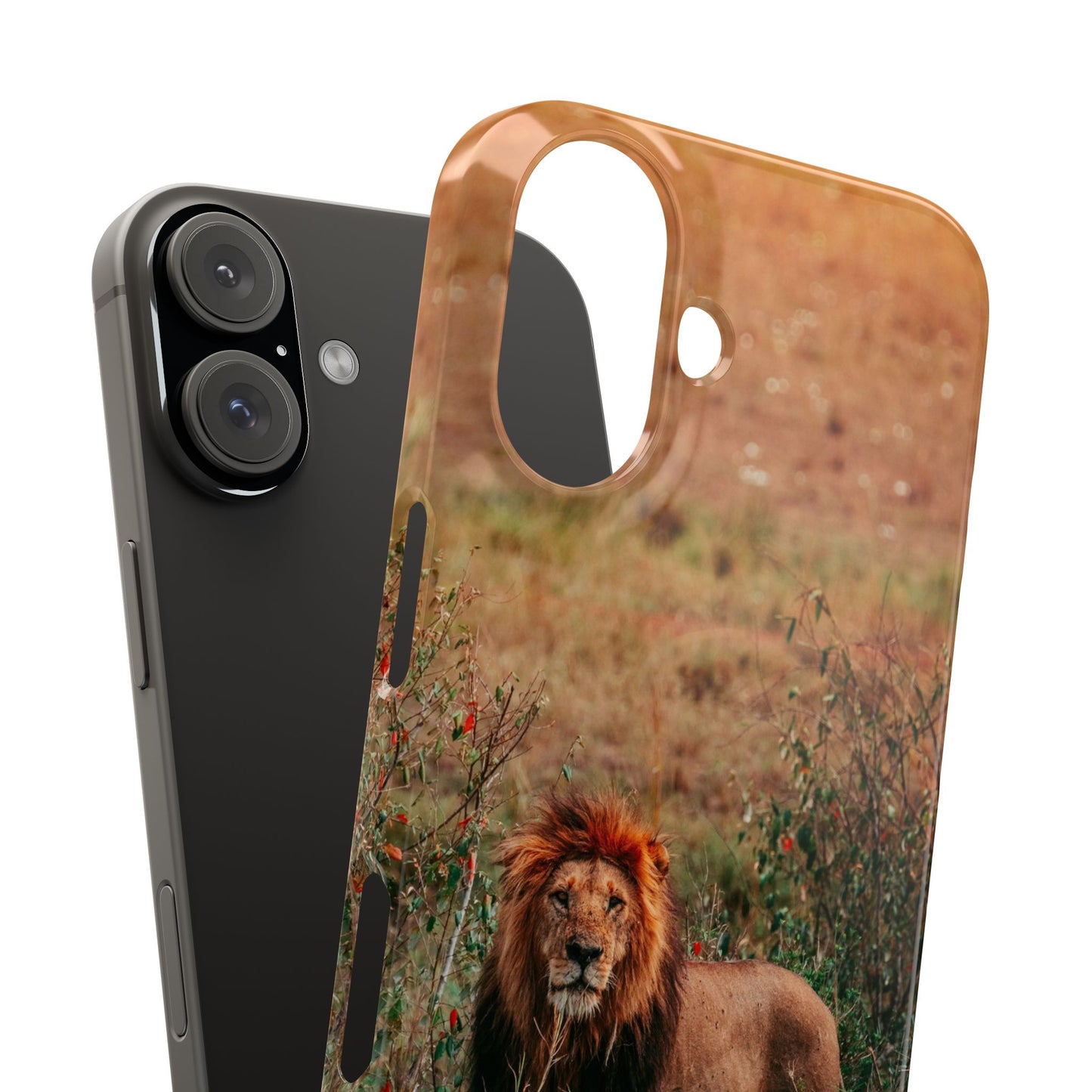 Majestic Lion Cajasol - Nature Inspired