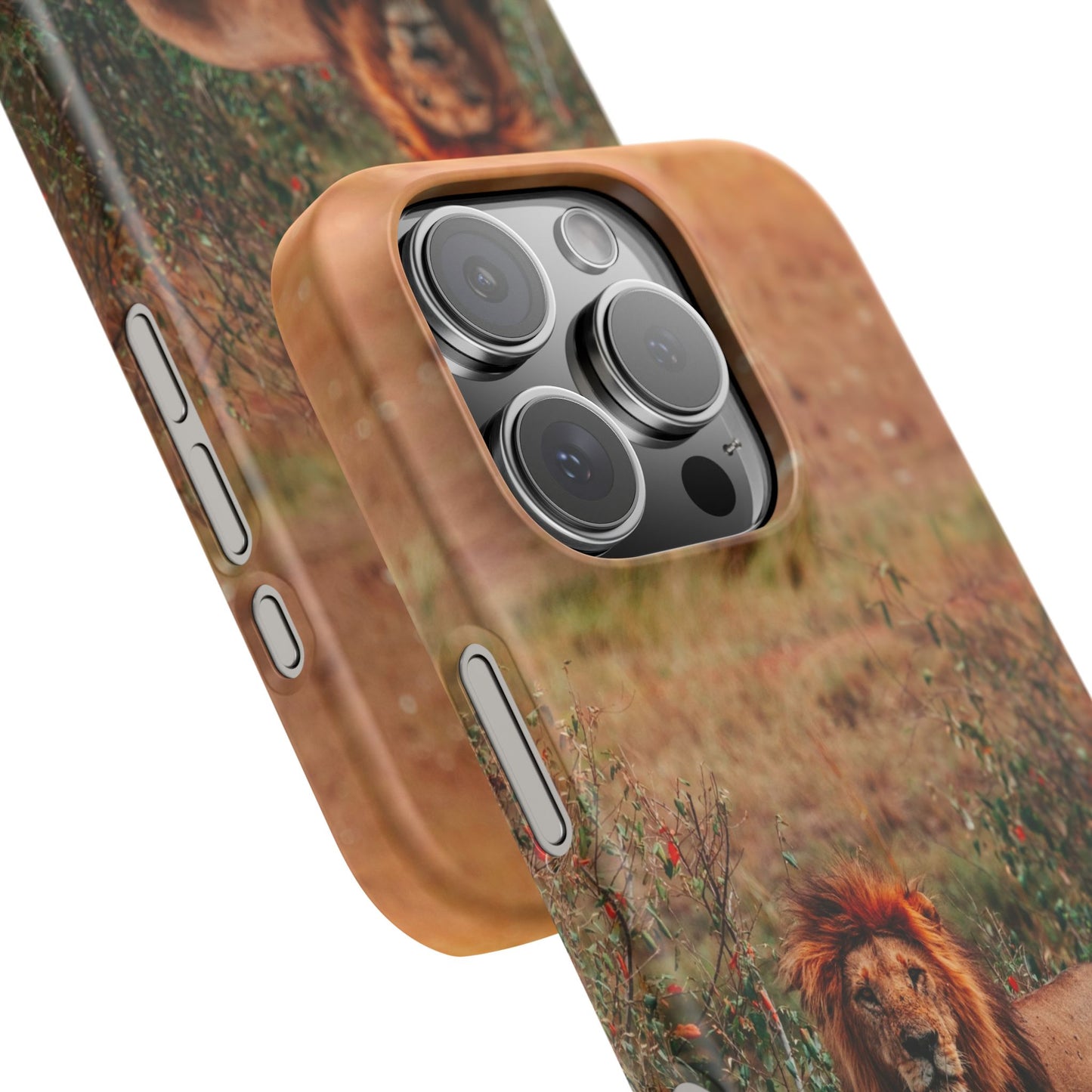 Majestic Lion Cajasol - Nature Inspired