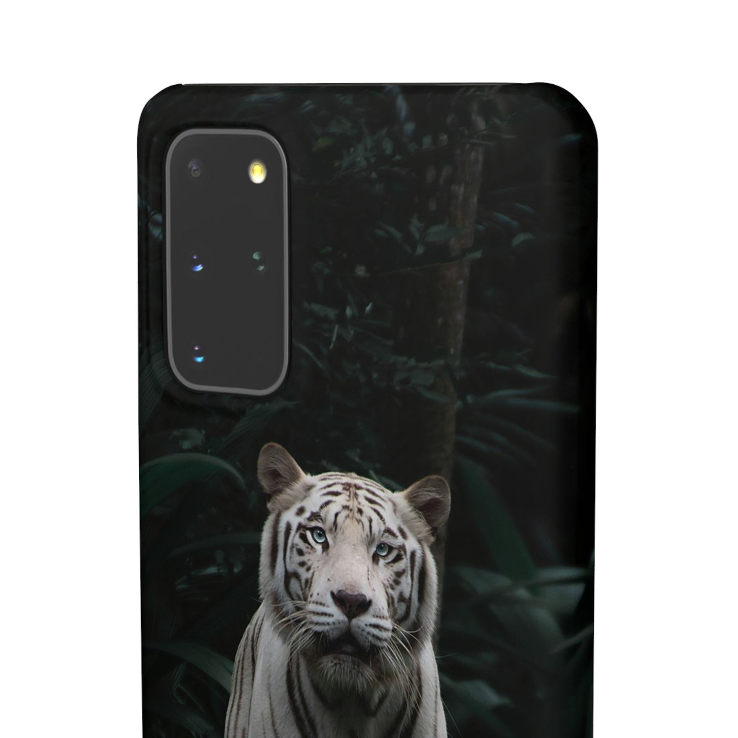 Majestic White Tiger Cajasol - Elegant & Protective for Wildlife Lovers