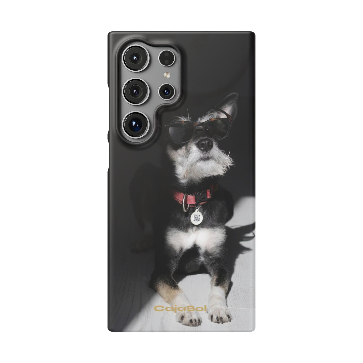 Cool Dog Cajasol - Stylish Pet