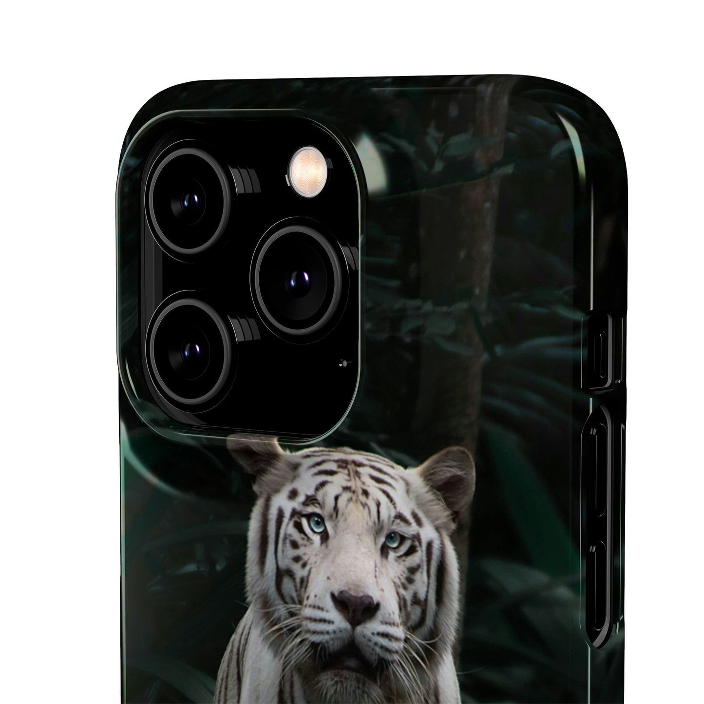Majestic White Tiger Cajasol - Elegant & Protective for Wildlife Lovers