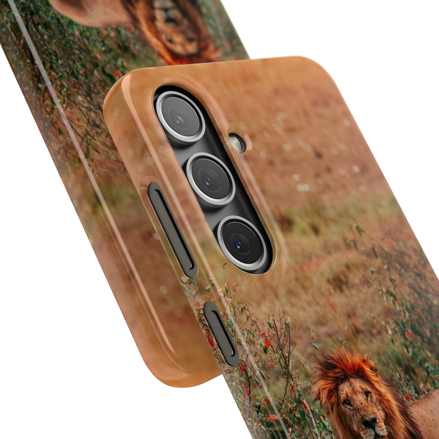 Majestic Lion Cajasol - Nature Inspired