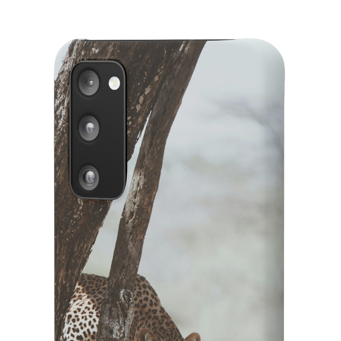 Leopard Cajasol - Wildlife Vibes
