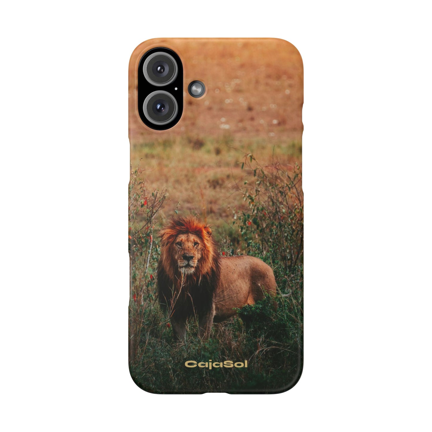 Majestic Lion Cajasol - Nature Inspired