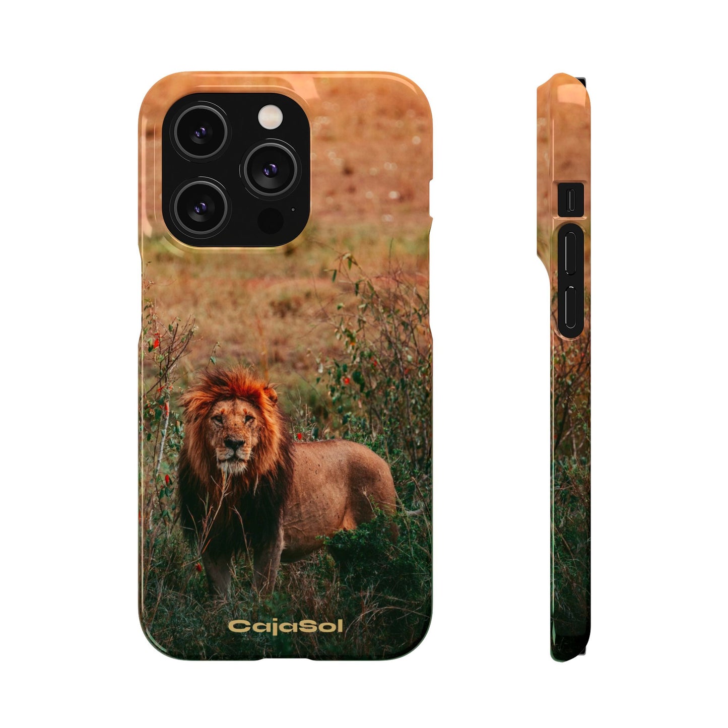 Majestic Lion Cajasol - Nature Inspired