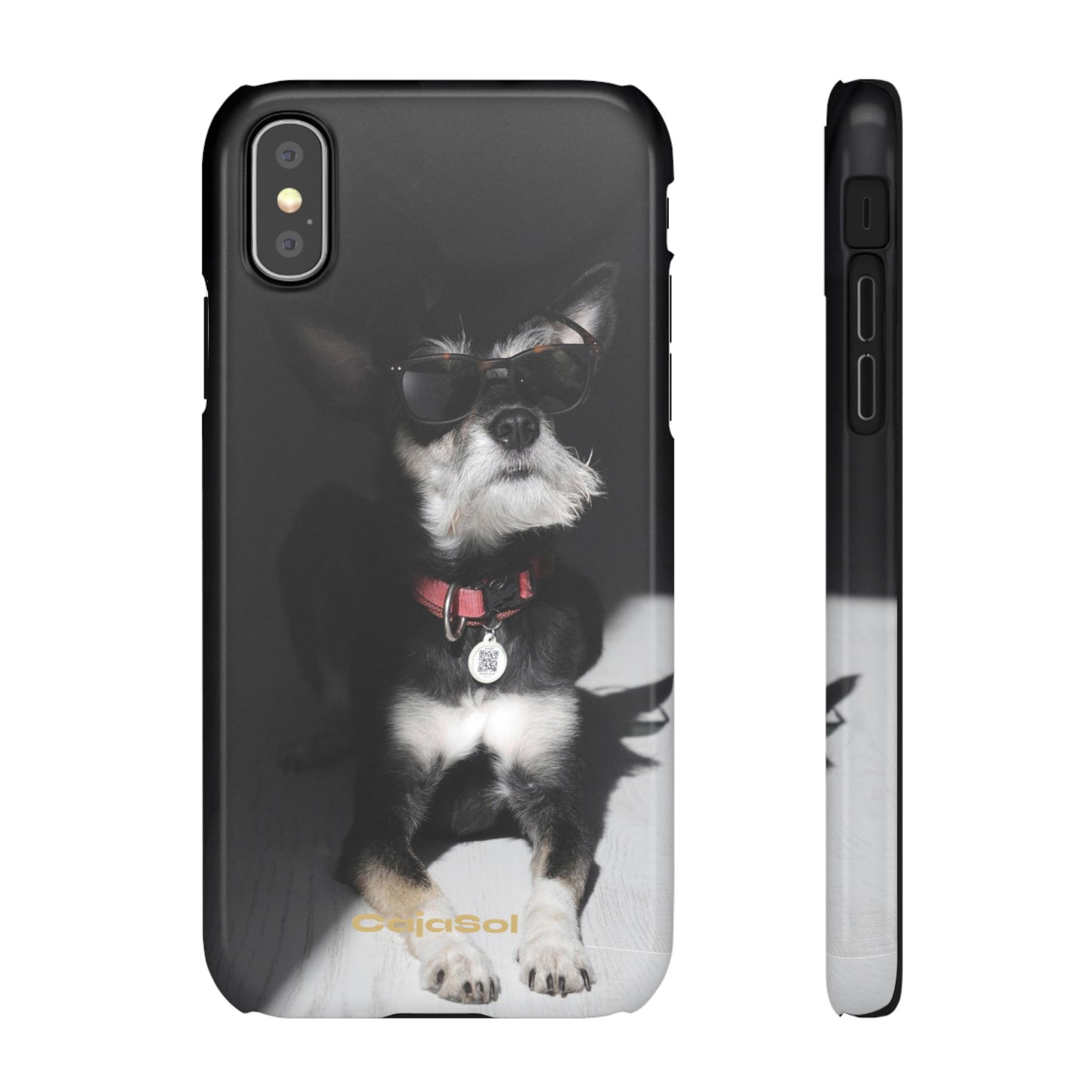 Cool Dog Cajasol - Stylish Pet