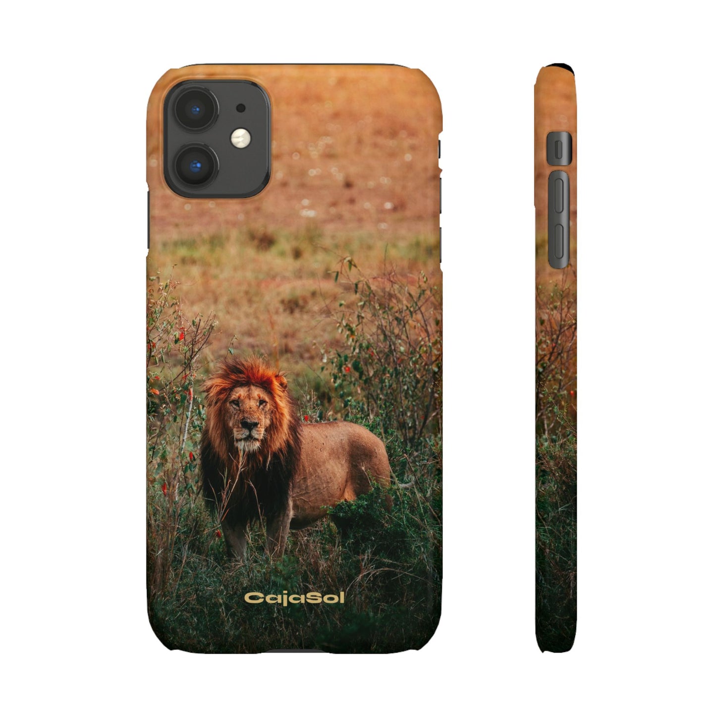 Majestic Lion Cajasol - Nature Inspired