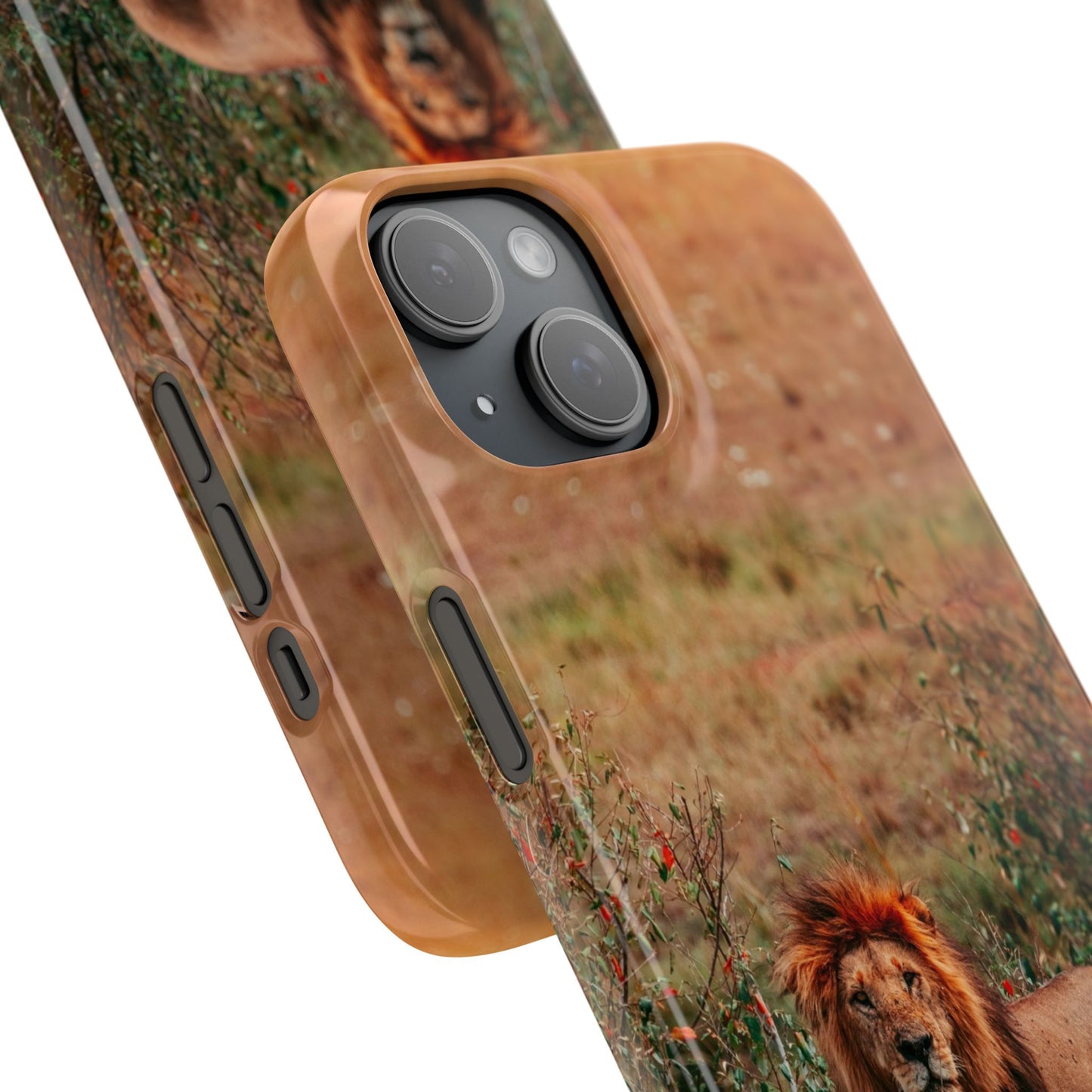 Majestic Lion Cajasol - Nature Inspired