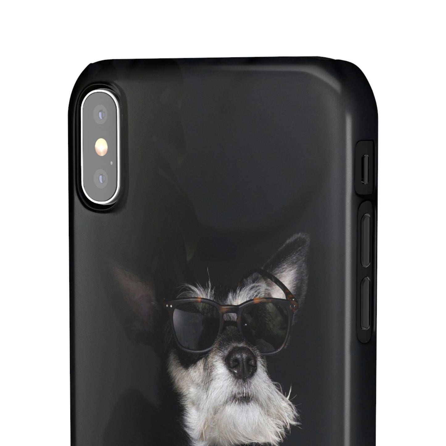 Cool Dog Cajasol - Stylish Pet
