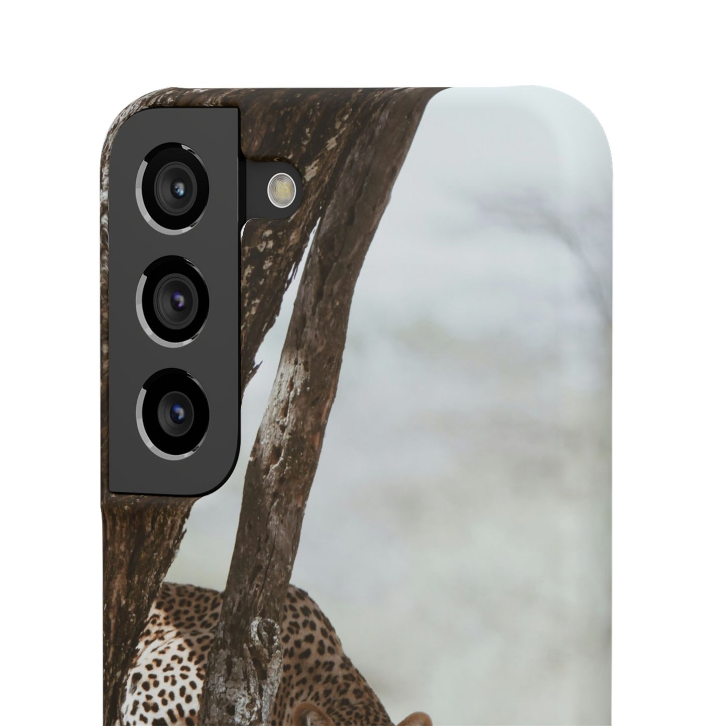 Leopard Cajasol - Wildlife Vibes