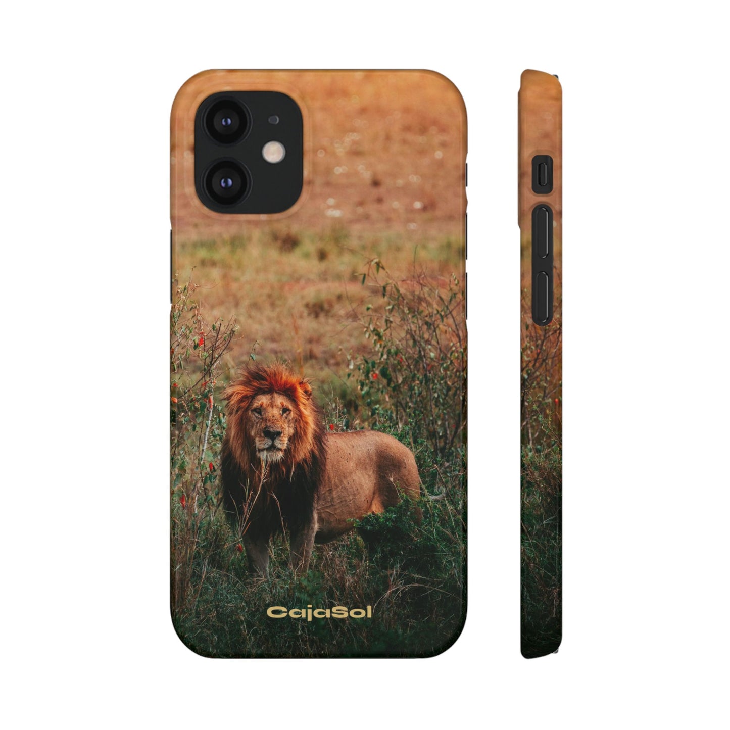 Majestic Lion Cajasol - Nature Inspired