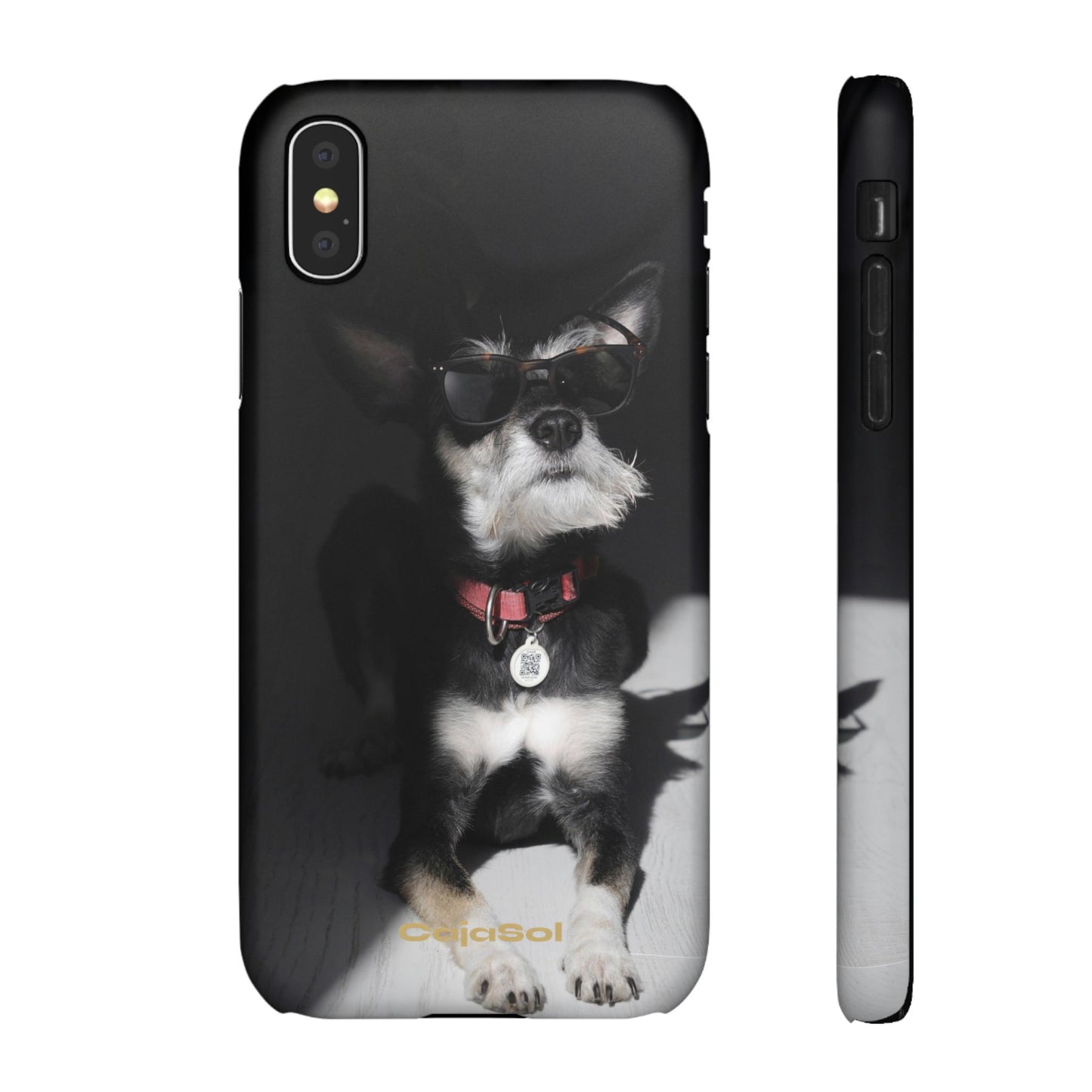 Cool Dog Cajasol - Stylish Pet