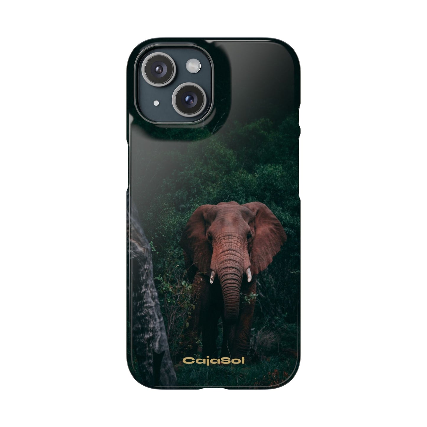 Wildlife Lover's Cajasol - Majestic Elephant