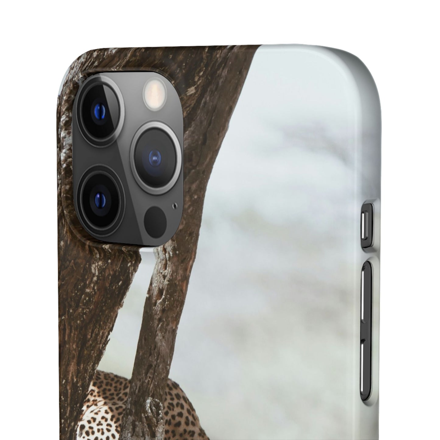 Leopard Cajasol - Wildlife Vibes
