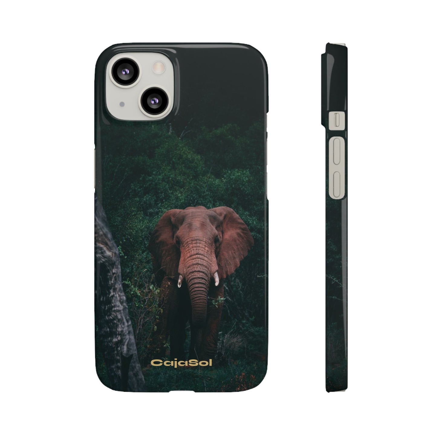 Wildlife Lover's Cajasol - Majestic Elephant