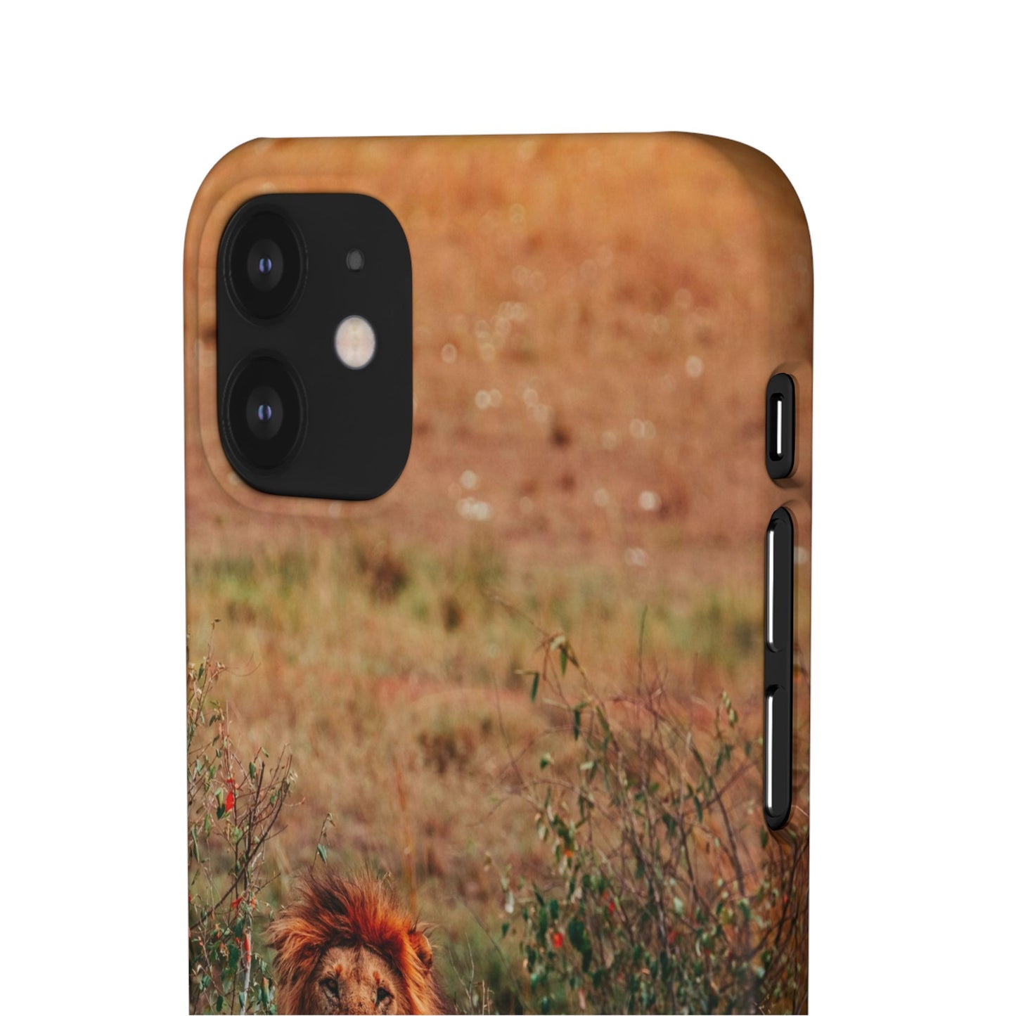 Majestic Lion Cajasol - Nature Inspired