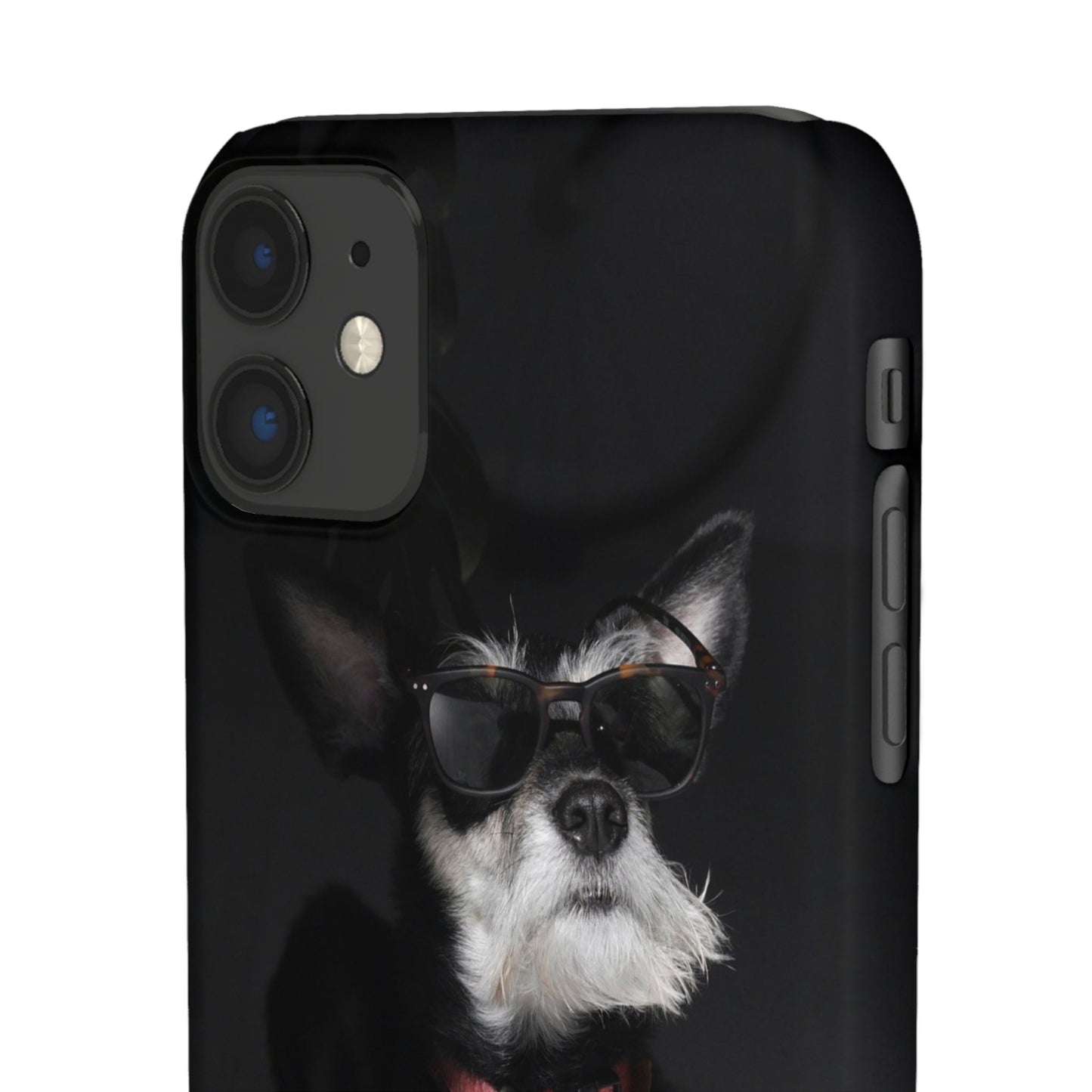 Cool Dog Cajasol - Stylish Pet