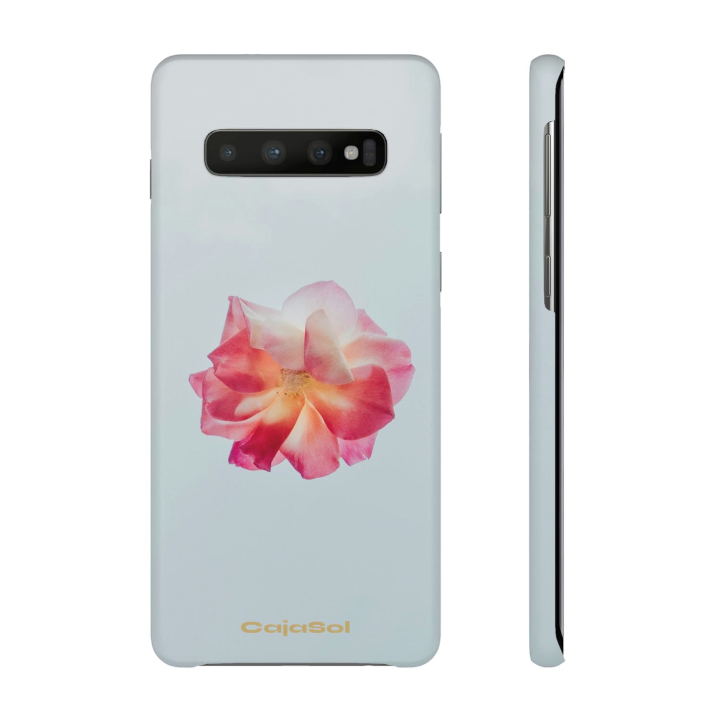 Floral Cajasol - Elegant Pink Flower