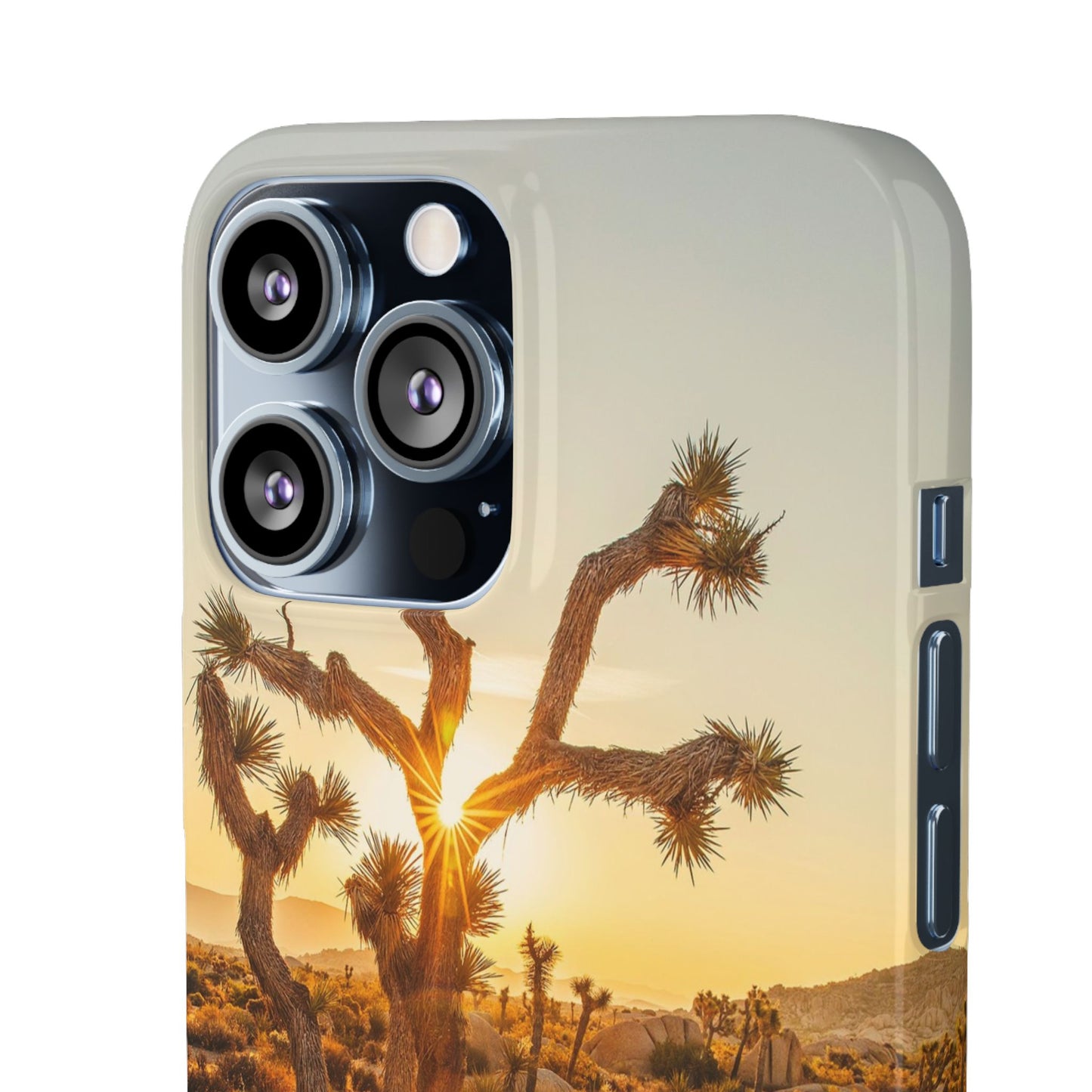Desert Sunset Cajasol - Stylish Protection for Nature Lovers