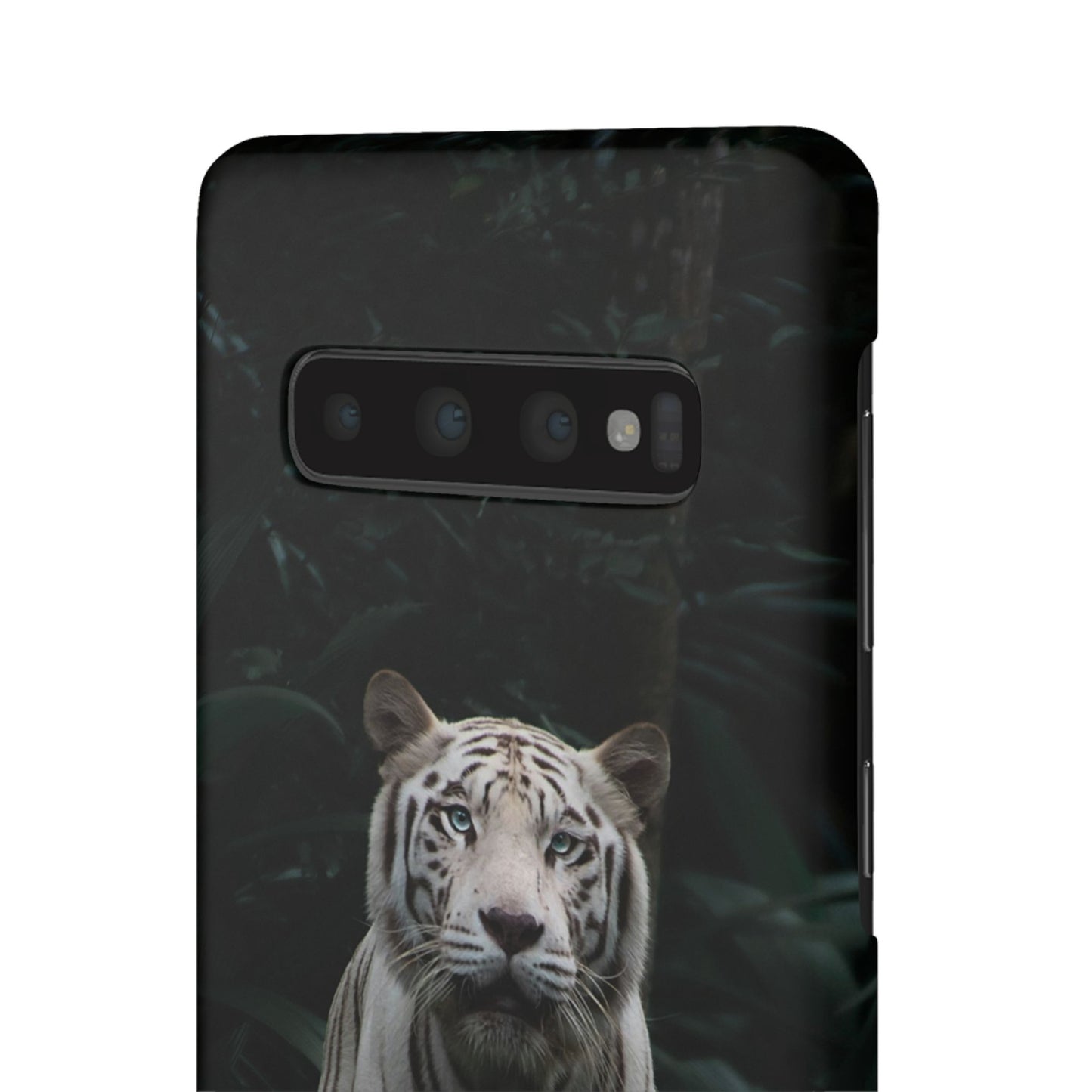 Majestic White Tiger Cajasol - Elegant & Protective for Wildlife Lovers