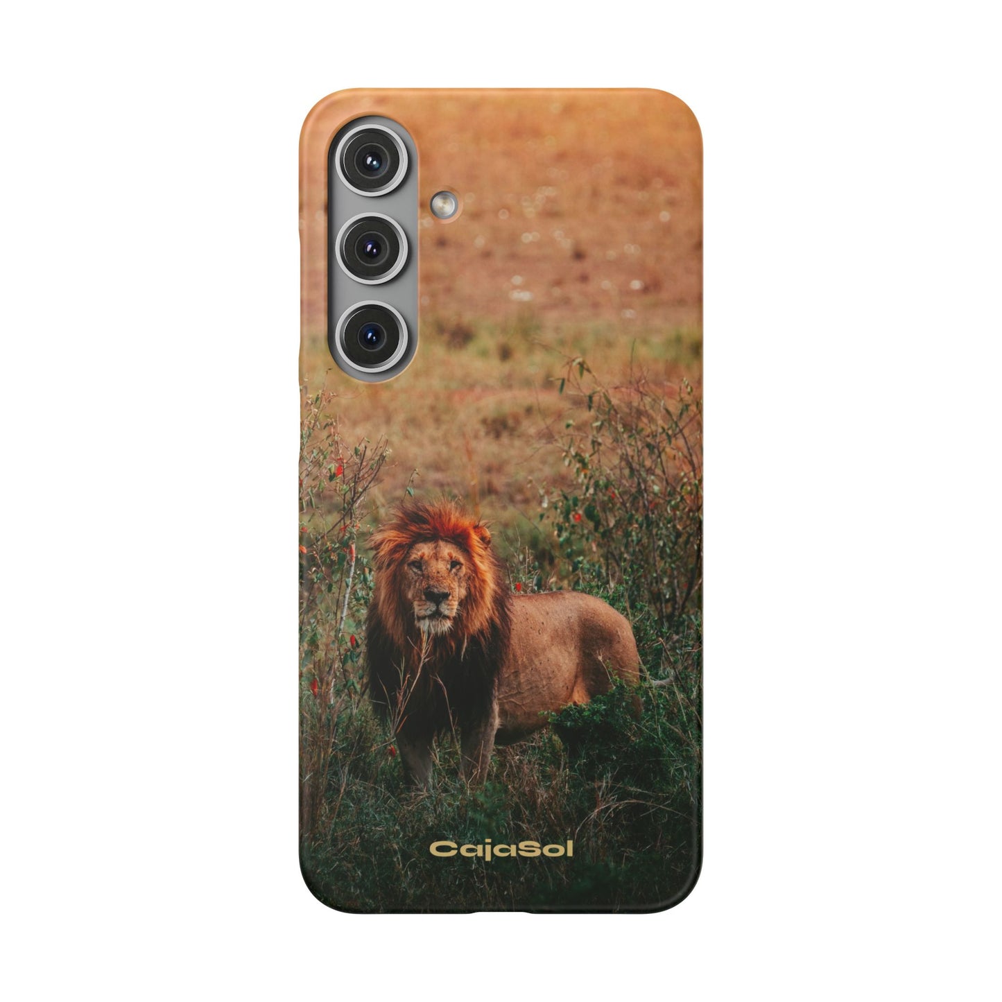 Majestic Lion Cajasol - Nature Inspired